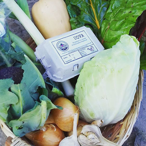 Verdure dell'azienda agricola radici felici