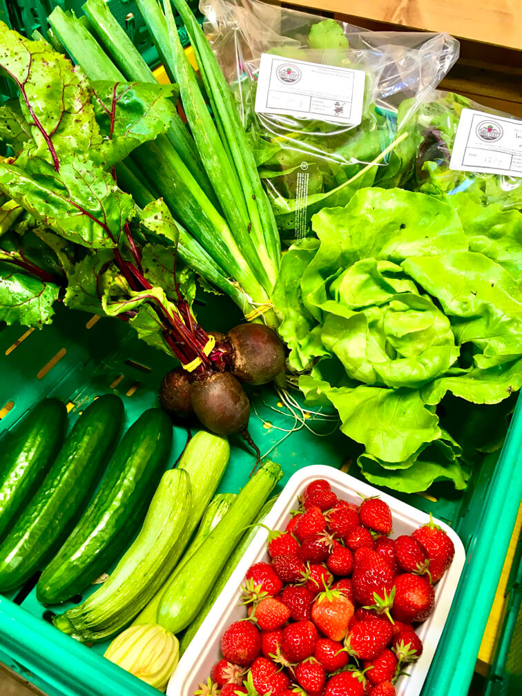 Ordine verdure biologiche radici felici 23 Giugno. Ritiro mercati pavullo e modena